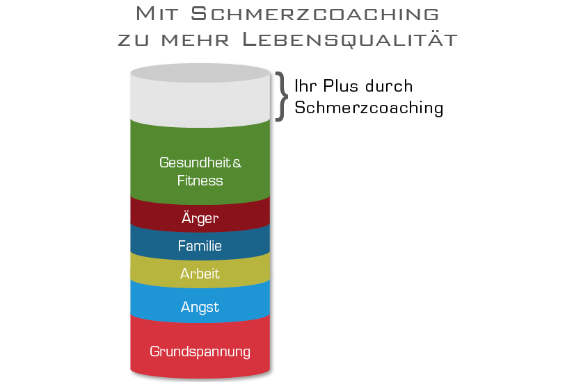 grafik-lebensqualitaet-biopsychosoziales-schmerzcoaching-kristin-zang-hamburg