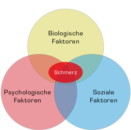 Biospychosoziales Schmerzcoaching